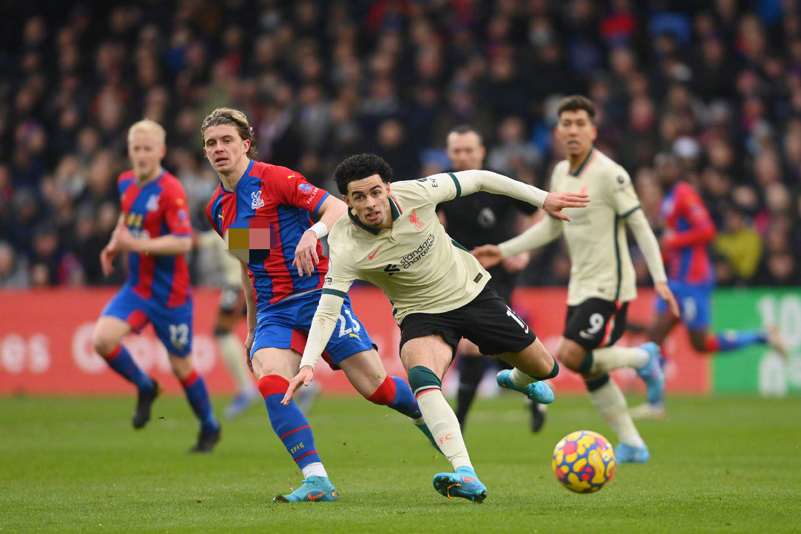 仅以温馨的 仅以温馨的